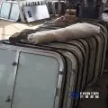 marine_safety_glass_rectangle