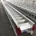 aluminium_ladder_and_gangway